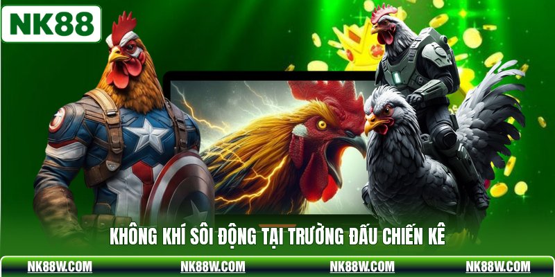 Không khí sôi động tại trường đấu chiến kê