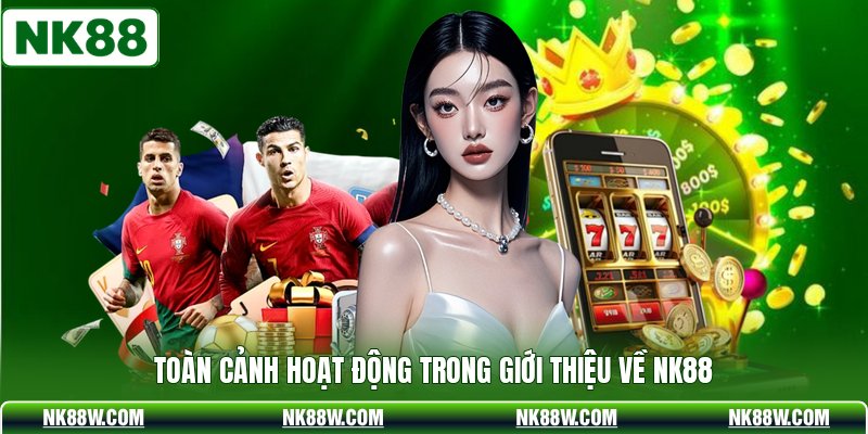 Toàn cảnh hoạt động trong giới thiệu về NK88